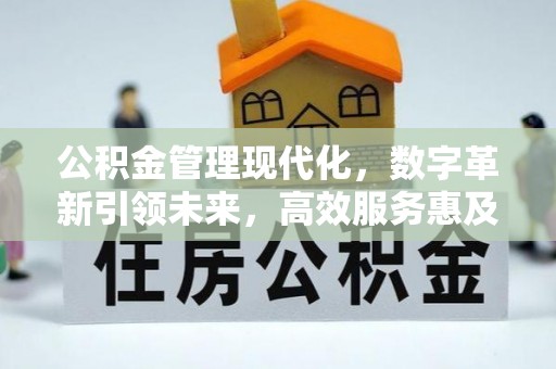 鼎湖公积金管理现代化，数字革新引领未来，高效服务惠及民生