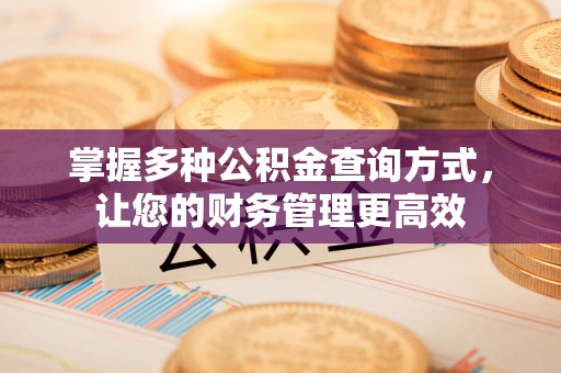 鼎湖掌握多种公积金查询方式，让您的财务管理更高效