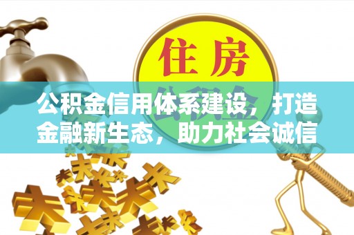 鼎湖公积金信用体系建设，打造金融新生态，助力社会诚信发展