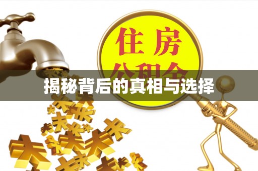 鼎湖揭秘背后的真相与选择