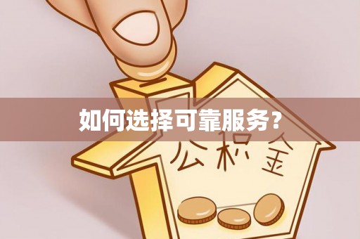 鼎湖如何选择可靠服务？