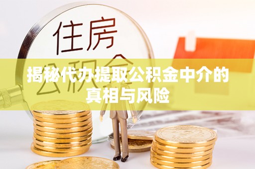 鼎湖揭秘代办提取公积金中介的真相与风险