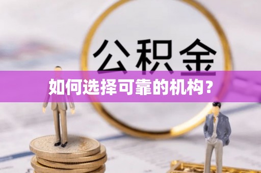 鼎湖如何选择可靠的机构？