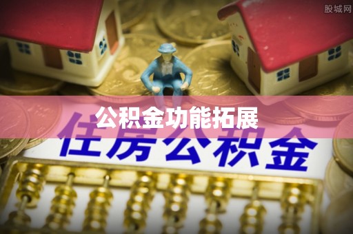 鼎湖公积金功能拓展