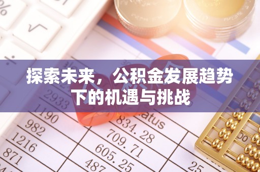 鼎湖探索未来，公积金发展趋势下的机遇与挑战