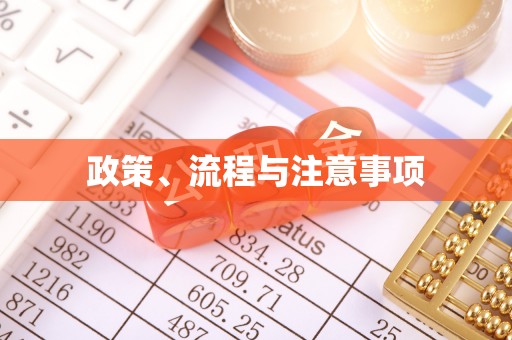 鼎湖政策、流程与注意事项