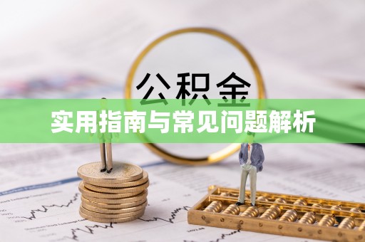 鼎湖实用指南与常见问题解析