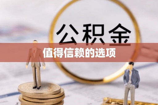 鼎湖值得信赖的选项
