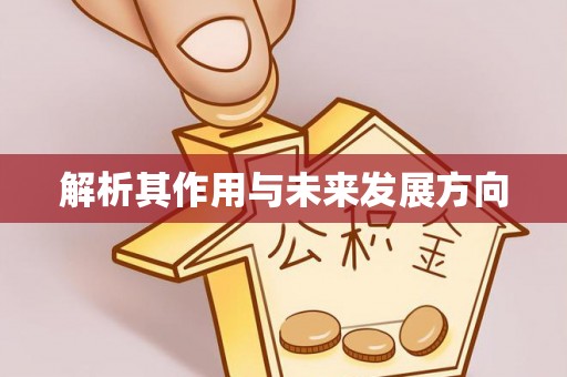 鼎湖解析其作用与未来发展方向