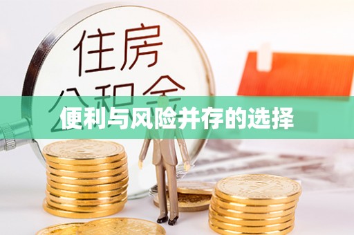 鼎湖便利与风险并存的选择