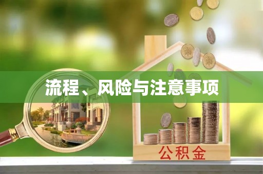 鼎湖流程、风险与注意事项
