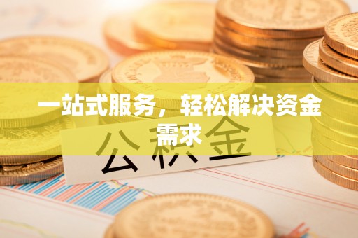 鼎湖一站式服务，轻松解决资金需求