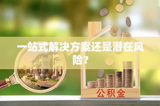 鼎湖一站式解决方案还是潜在风险？