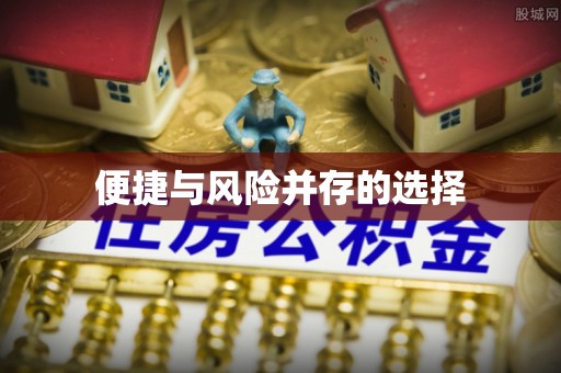 鼎湖便捷与风险并存的选择