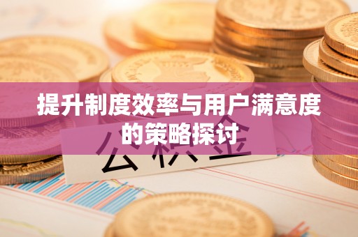 鼎湖提升制度效率与用户满意度的策略探讨