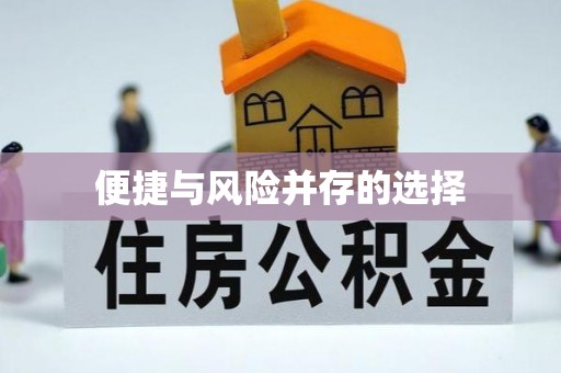 鼎湖便捷与风险并存的选择